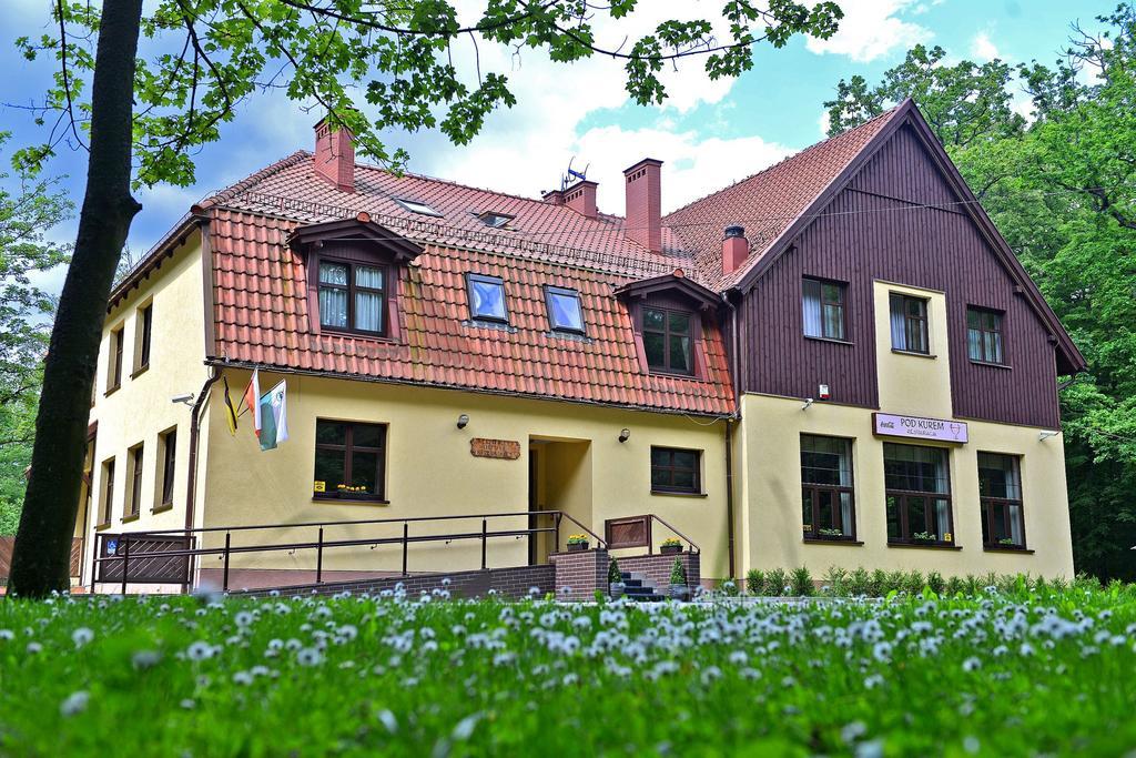 Willa Strzelnica Hotel Koscierzyna Luaran gambar